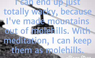 Mountains out of molehills quotation image